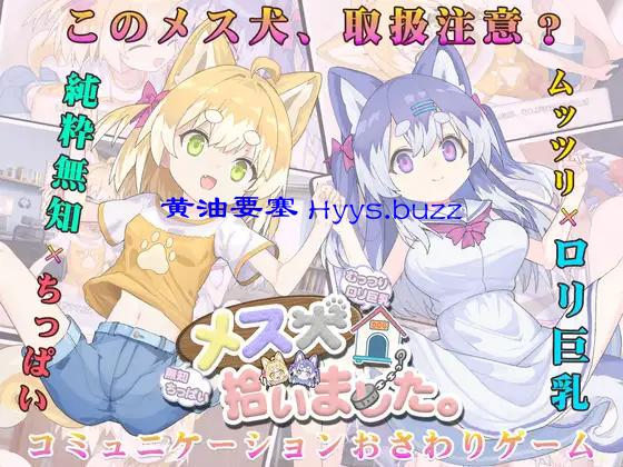 メス犬、拾いました。